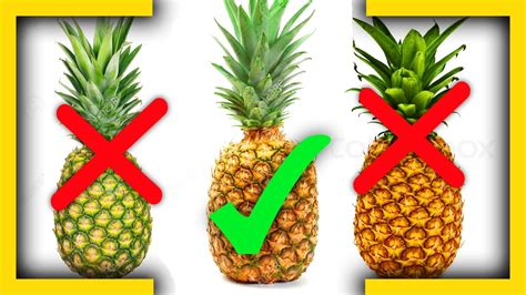 Mar 11, 2021 · Turn the pineapple upside down and smell the base of the pineapple. It should have a fresh, sweet smell. If the base of the fruit doesn't smell at all, then the fruit is most likely unripe. If it ... 